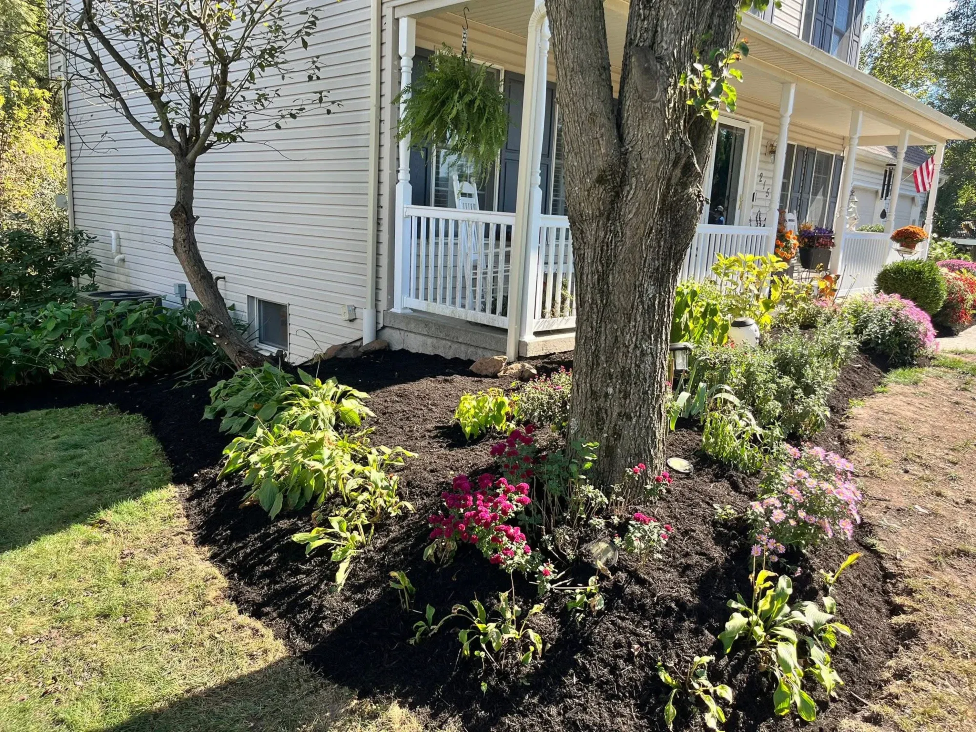 Lawn fertilizer application for healthy green grass