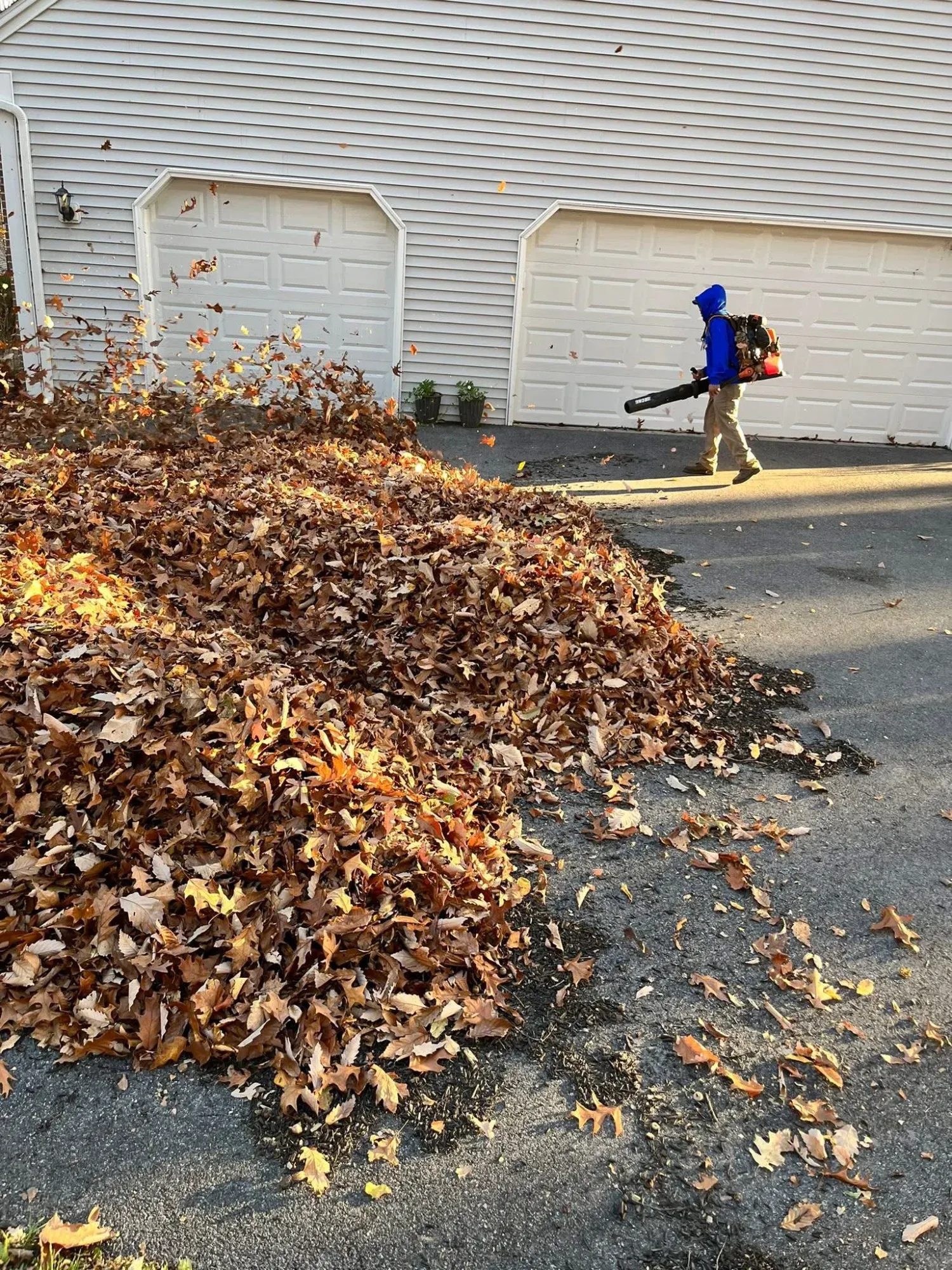Fall leaf blowing and debris cleanup Dauphin County