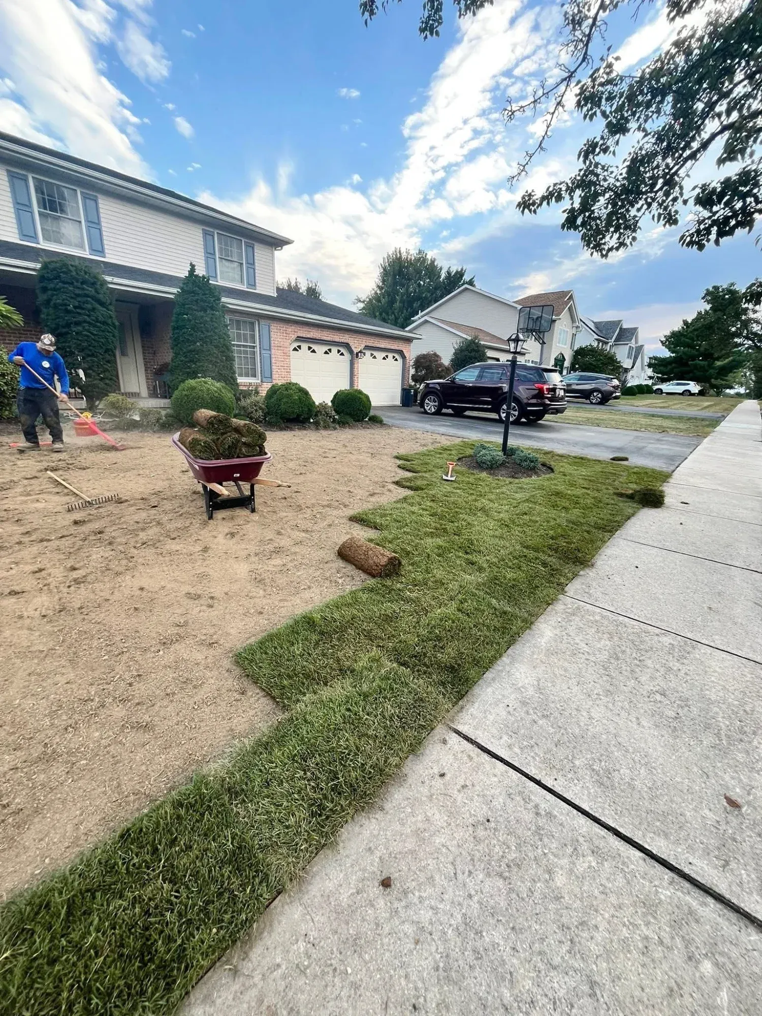 Sod installation and lawn renovation residential property