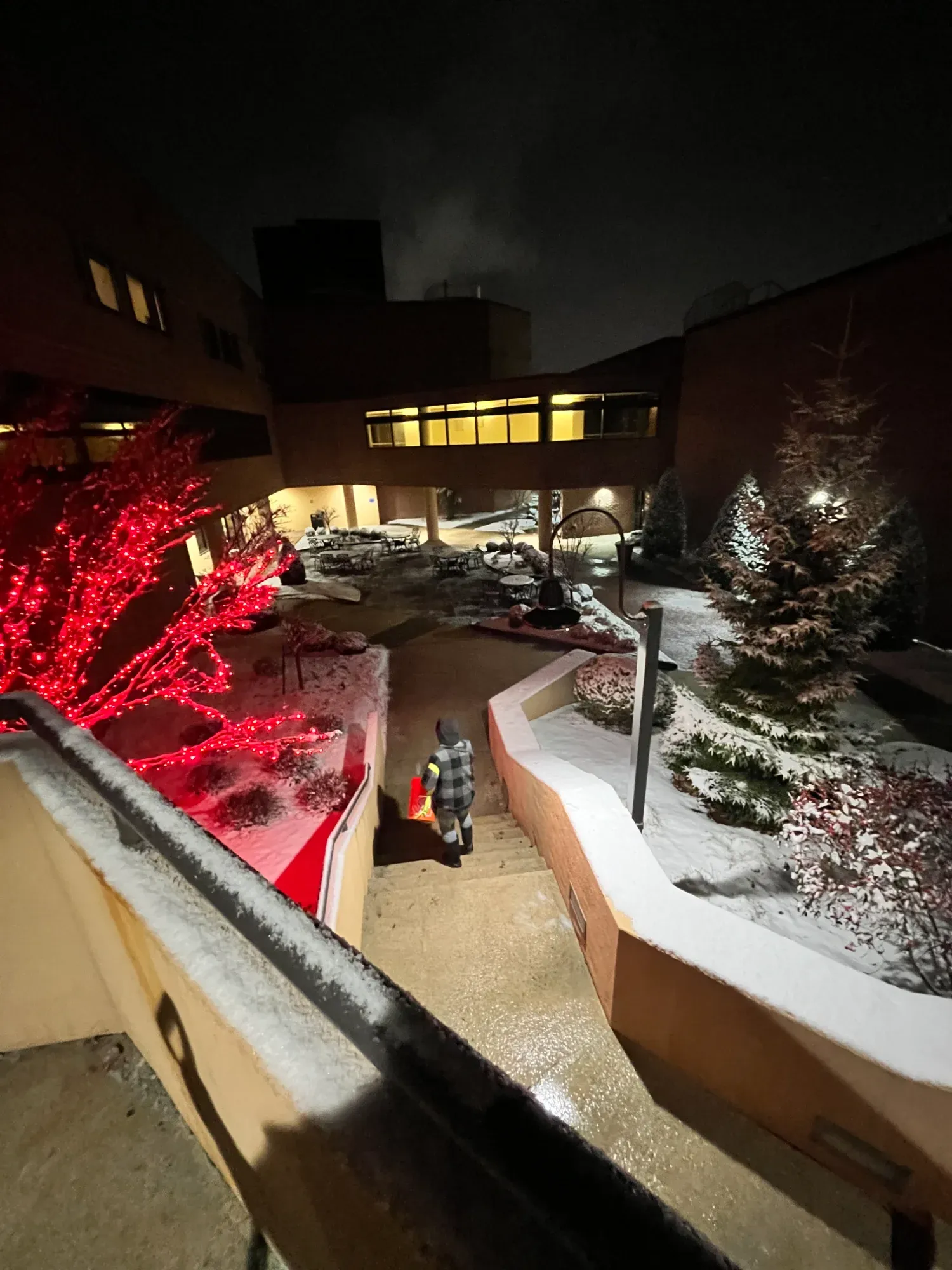 Winter snow clearing on walkways and steps residential