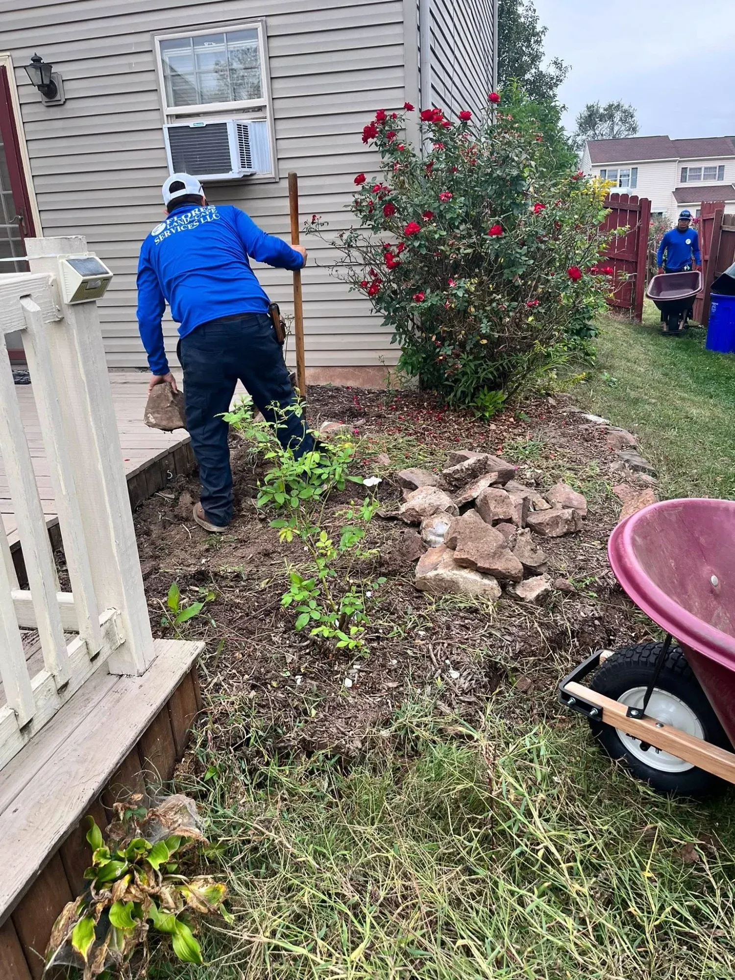 Professional lawn mowing with stripe pattern Central PA